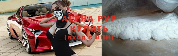 хмурый Аркадак