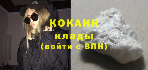 хмурый Аркадак