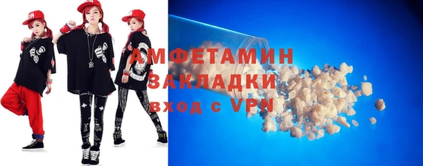 хмурый Аркадак