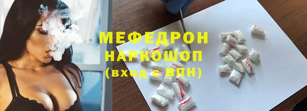 хмурый Аркадак