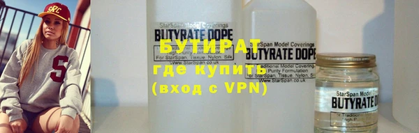 хмурый Аркадак