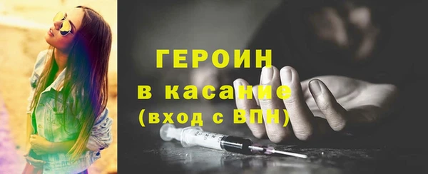 хмурый Аркадак