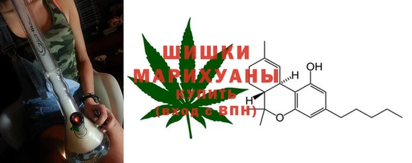 хмурый Аркадак