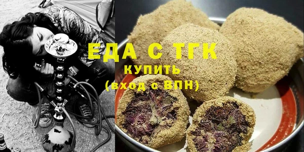 хмурый Аркадак